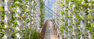 vertical farming greenhouse
